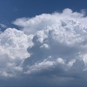 Meet your Posher, Stella